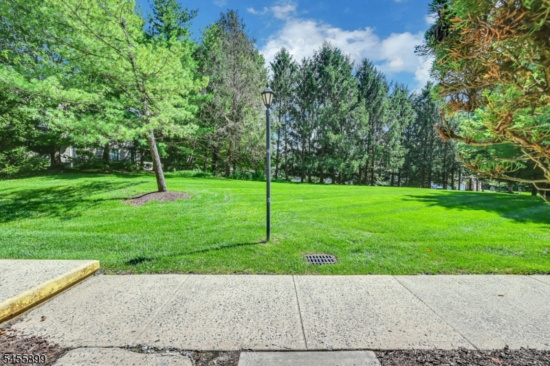 31 Academy Court Property Photo 29