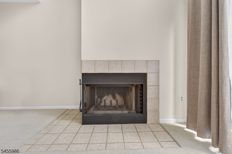 46 Haverhill Ct Property Photo 19