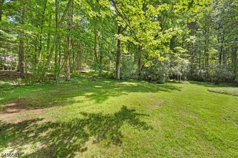 155 Buffalo Hollow Rd Property Photo 4