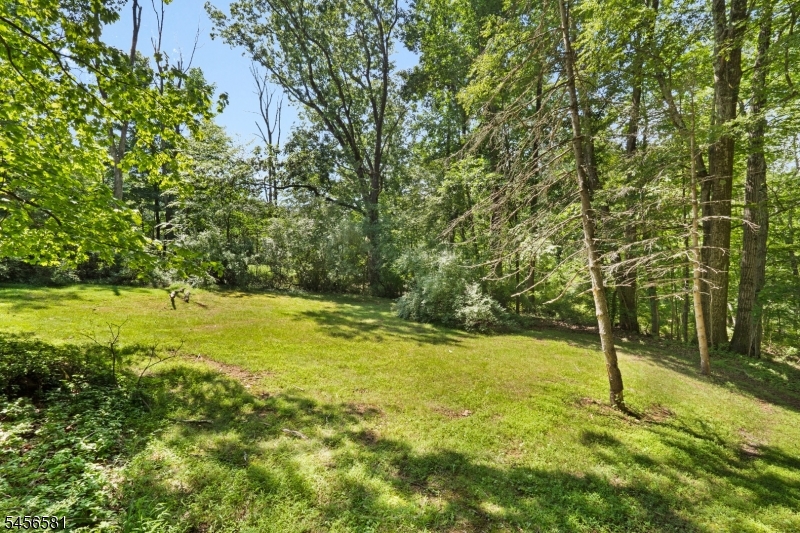 155 Buffalo Hollow Rd Property Photo 20