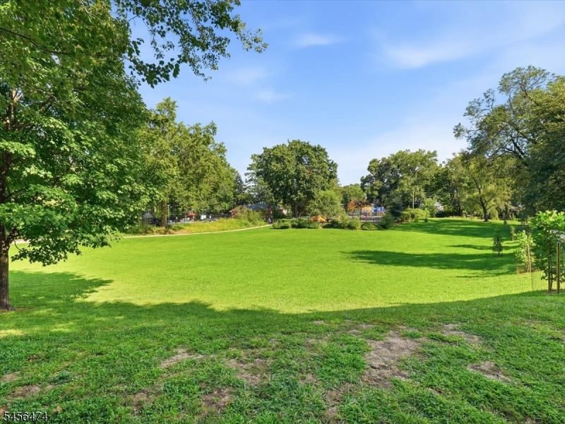 11 Reading Ter Property Photo 44