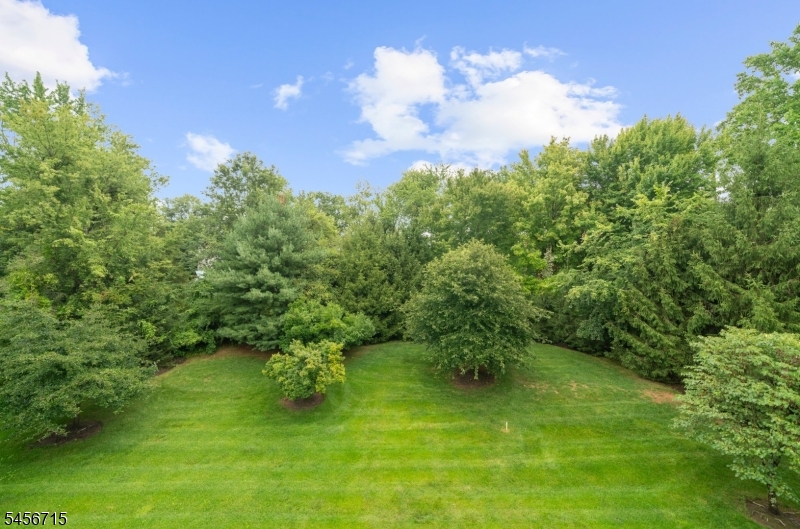 1325 Berry Farm Rd Property Photo 18