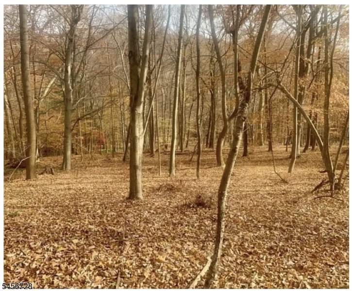 Cherryville Hollow Rd Property Photo 1