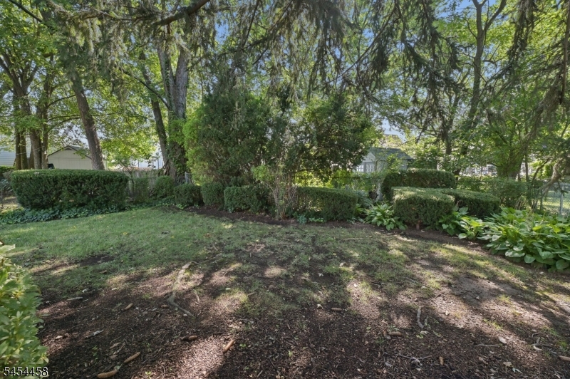 11 Concord Ave Property Photo 6