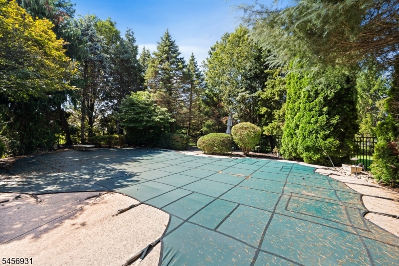 2 Daltrui Dr Property Photo 4