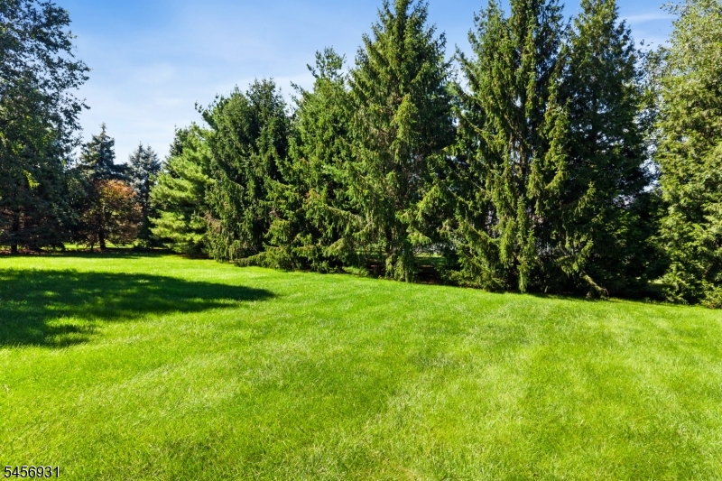2 Daltrui Dr Property Photo 40