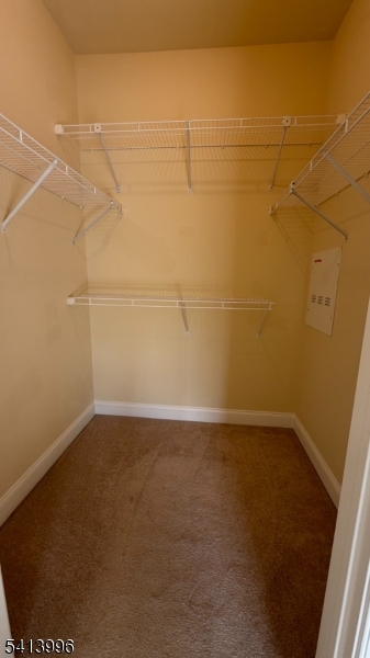 2411 Ramapo Ct Property Photo 12