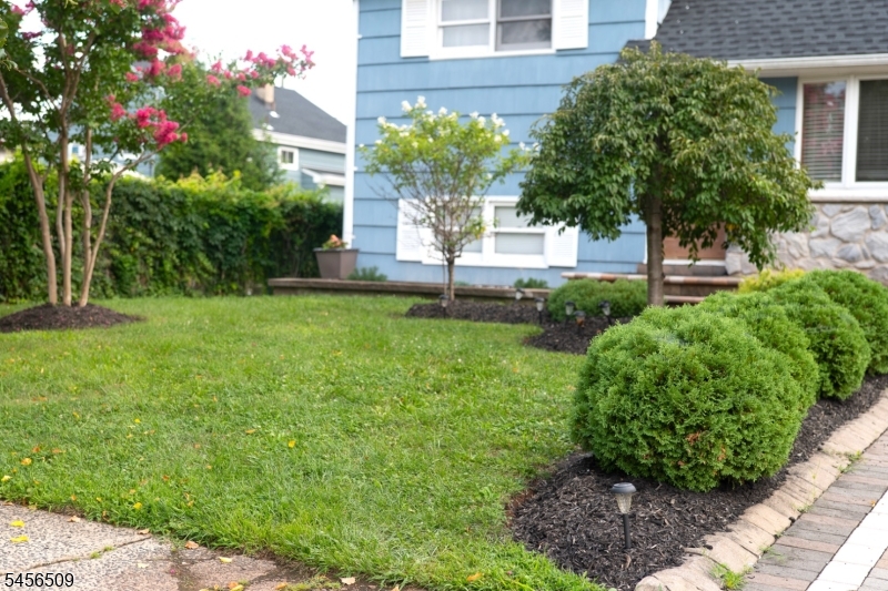 11 Mastogen Dr Property Photo 4