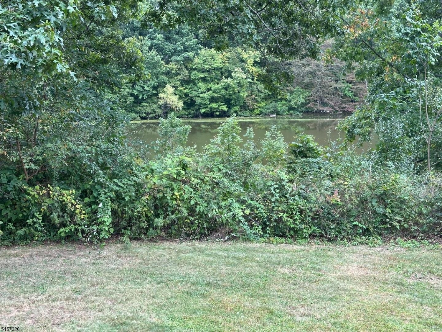 496 County Rd 519 Property Photo 25