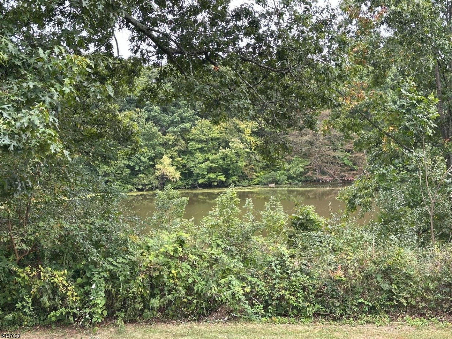 496 County Rd 519 Property Photo 26