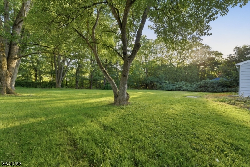 10 Lynnfield Ter Property Photo 37