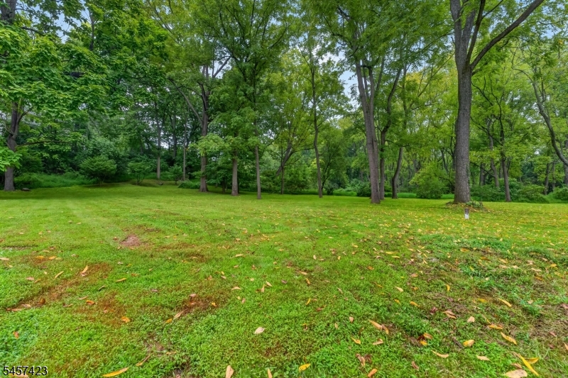 9 Woods Edge Ct Property Photo 27