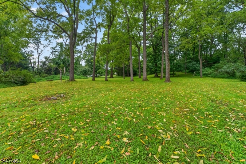 9 Woods Edge Ct Property Photo 28