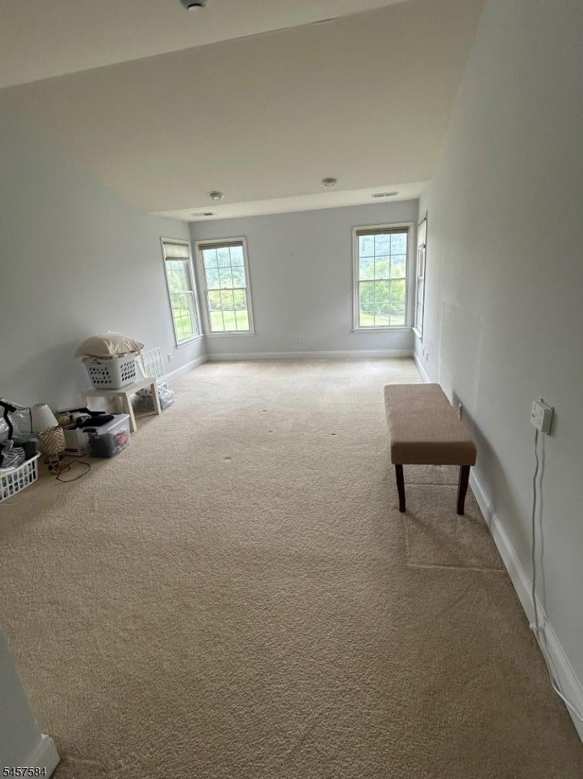 86 Briar Ct Property Photo 13
