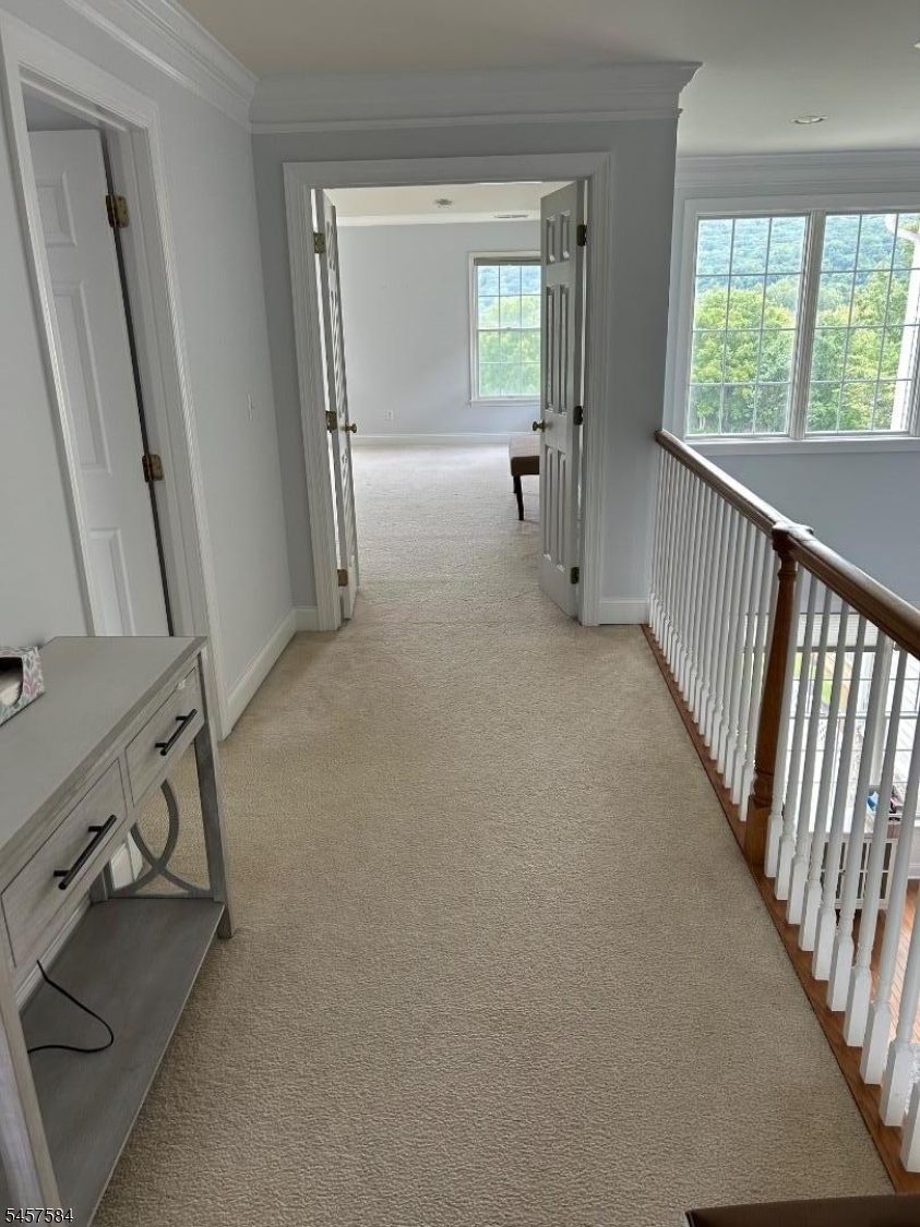 86 Briar Ct Property Photo 17