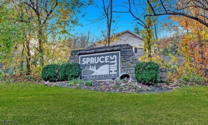 905 Spruce Hills Dr 905 Property Photo 2