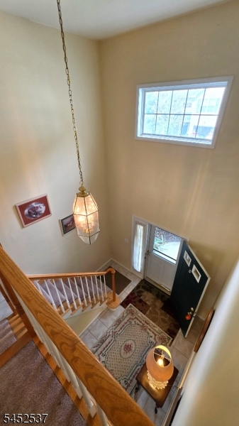 3 Druid Ln Property Photo 26