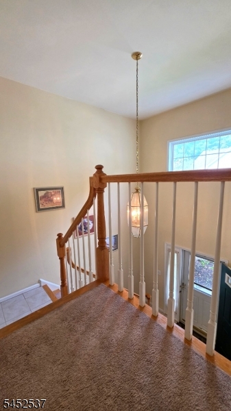 3 Druid Ln Property Photo 27