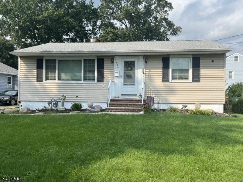 239 Chestnut St Property Photo 2