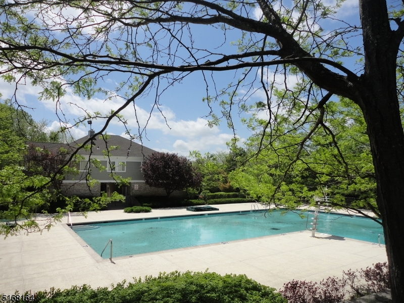 40 Black Bear Ct Property Photo 14