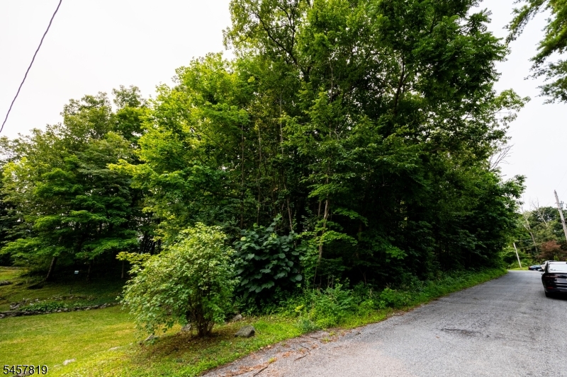 Evergreen Trl Property Photo 4