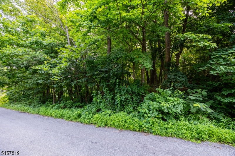 Evergreen Trl Property Photo 5