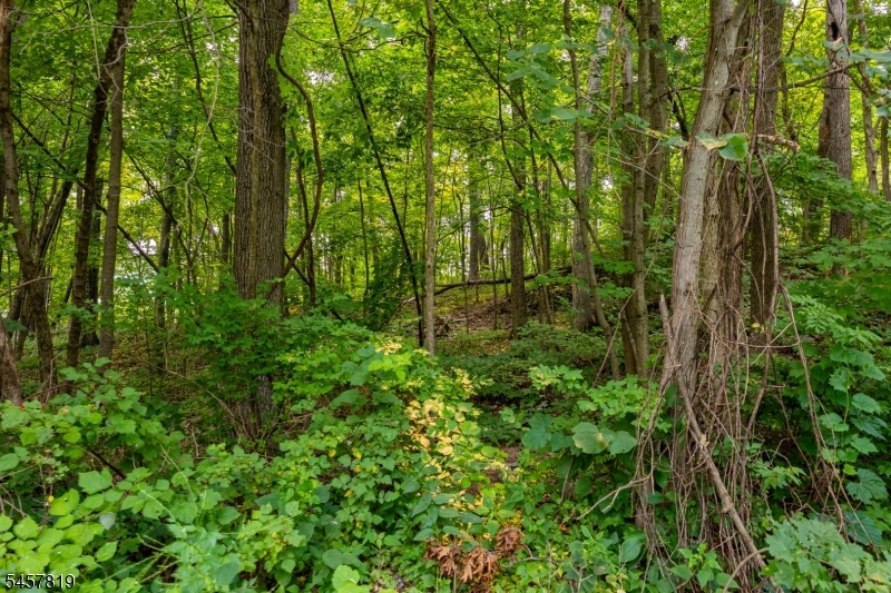 Evergreen Trl Property Photo 6