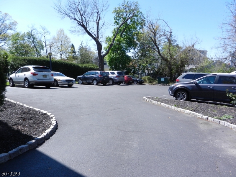 552 Westfield Ave Property Photo 3