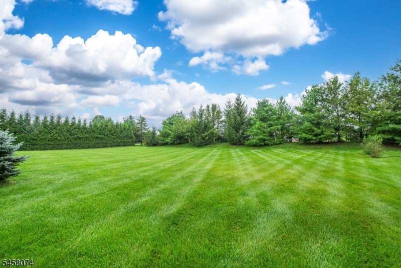 17 Fieldview Dr Property Photo 45