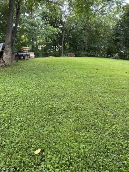 62 Walnut St Property Photo 17