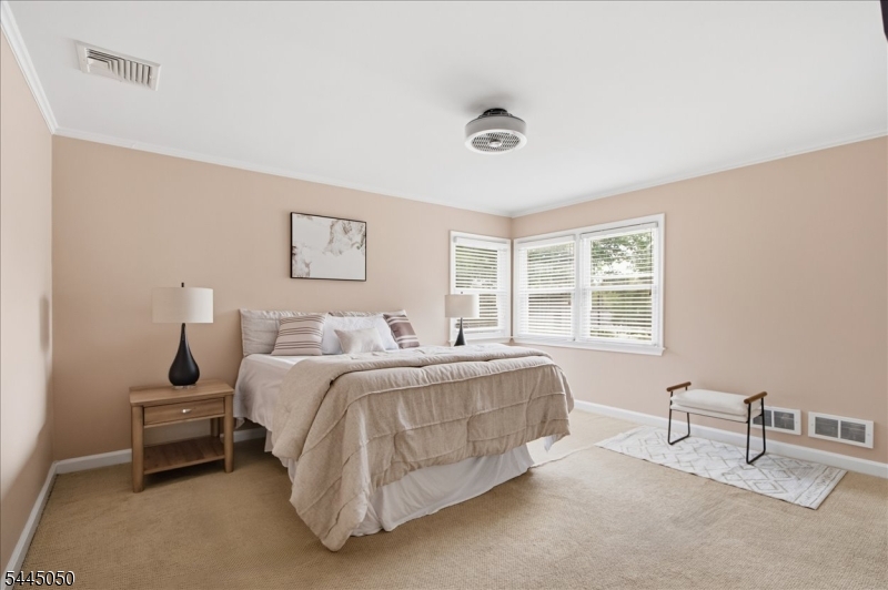 36 Curtis Avenue Property Photo 21