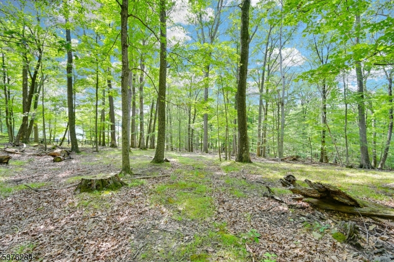 Paulinskill Lake Rd Property Photo 1