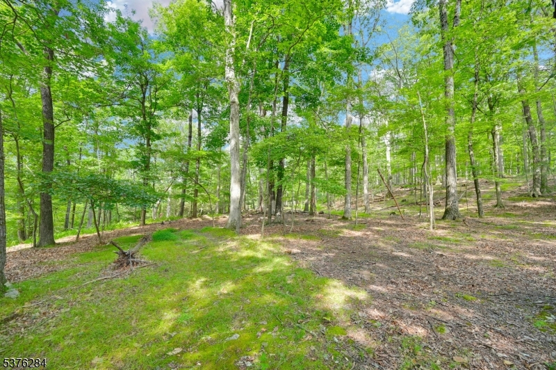 Paulinskill Lake Rd Property Photo 2