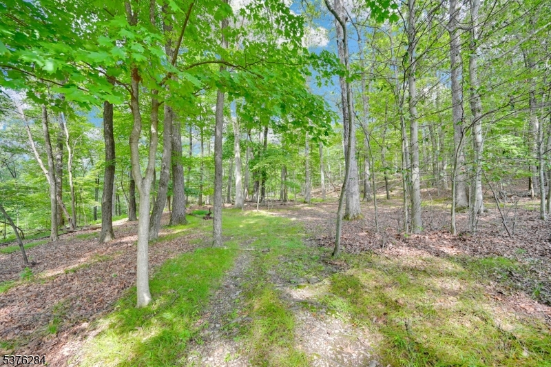 Paulinskill Lake Rd Property Photo 3