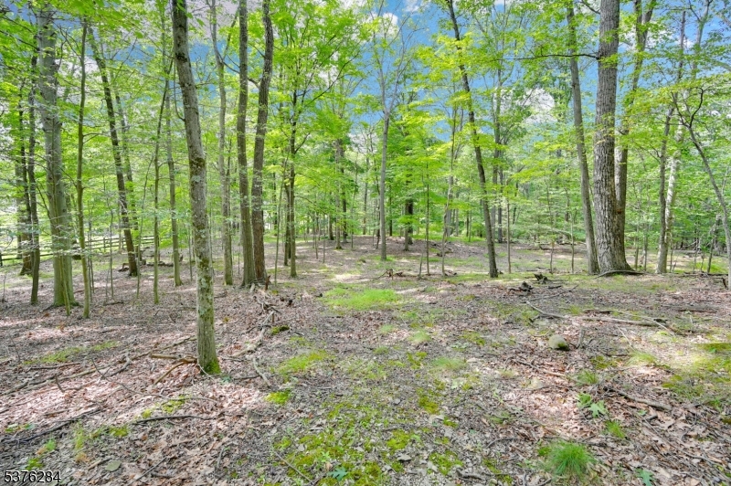 Paulinskill Lake Rd Property Photo 4