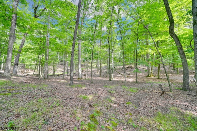 Paulinskill Lake Rd Property Photo 5