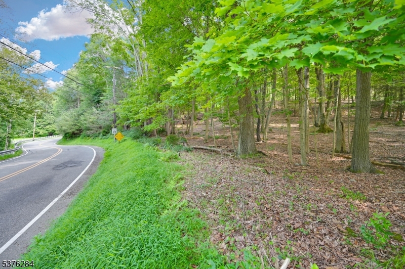 Paulinskill Lake Rd Property Photo 6