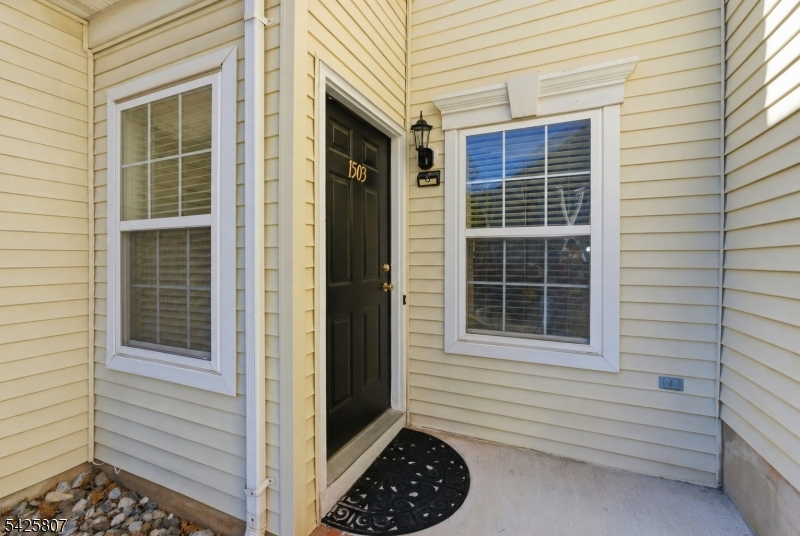 1503 Pisaniello Ct Property Photo 29
