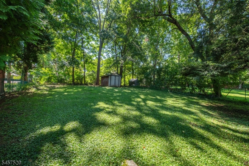15 Mayne Ave Property Photo 25