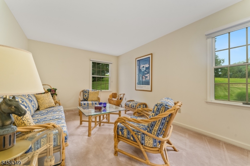 219 Sandy Ridge Mount Airy Property Photo 29