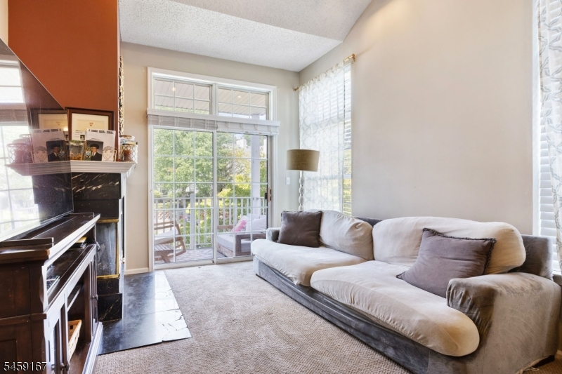 1293 Paddington Rd Property Photo 15