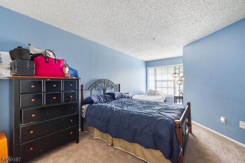 1293 Paddington Rd Property Photo 18