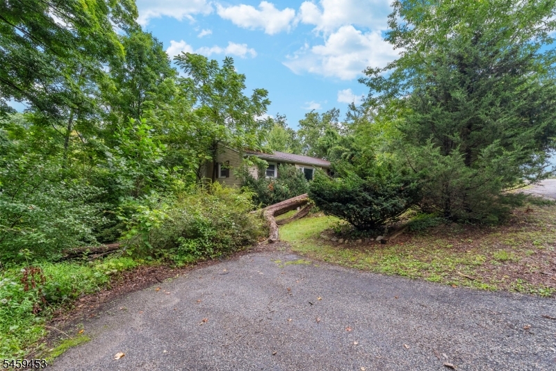 5 Black Oak Dr Property Photo 23