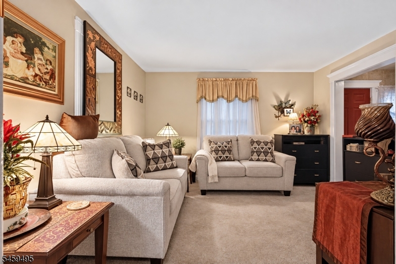 20 Verdon St Property Photo 3