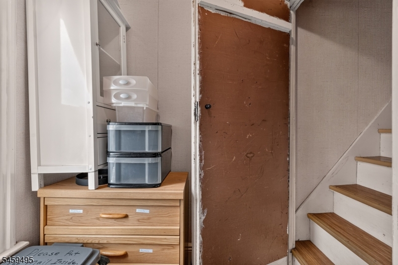 20 Verdon St Property Photo 16