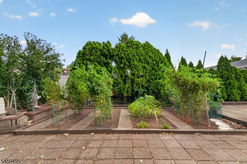 20 Verdon St Property Photo 22