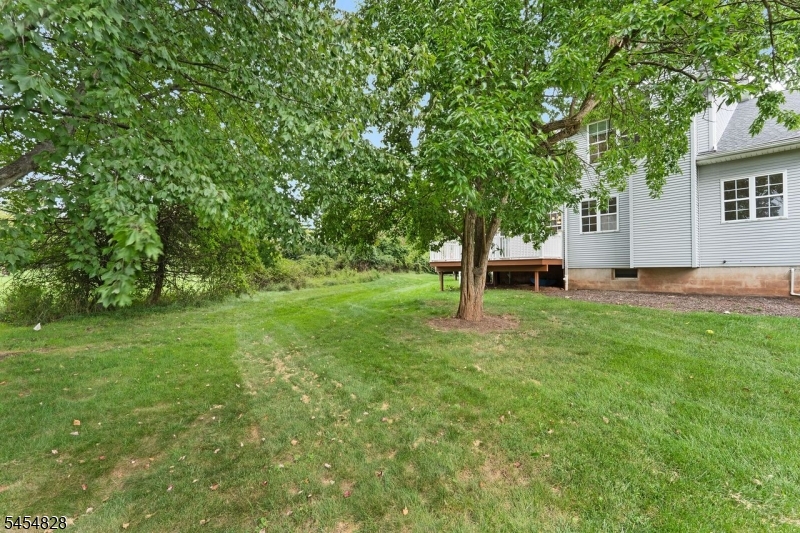 76 Whitehead Road Property Photo 28