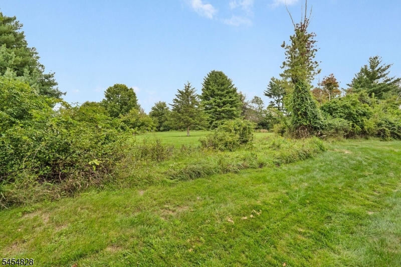 76 Whitehead Road Property Photo 30