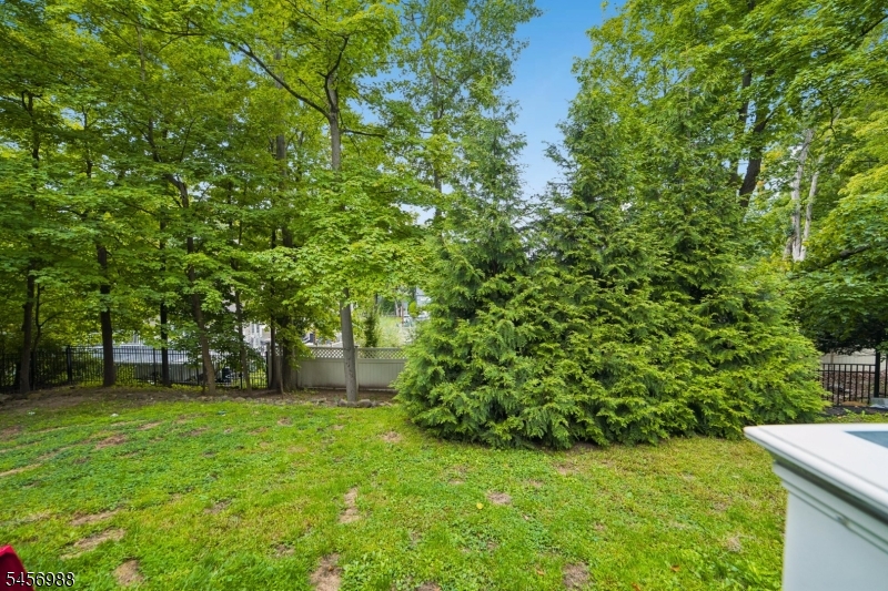 41 Forest Ter Property Photo 38