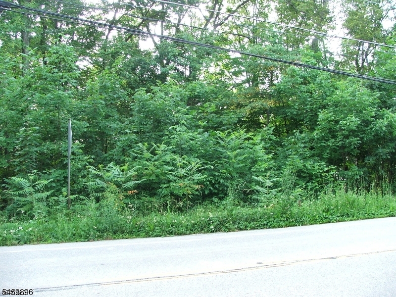Canistear Rd Property Photo 6